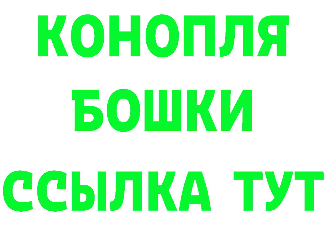 Cannafood конопля вход площадка MEGA Бокситогорск